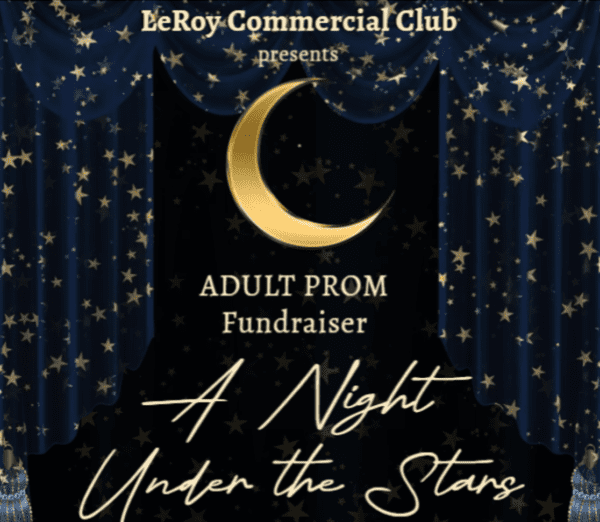 A night under the stars poster